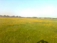 Івано-Яризівка - Останні фото