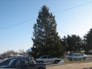 смт ПОПІЛЬНЯ