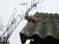 Моє рідне село