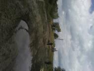 Врятуймо озеро