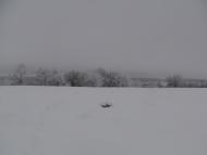 Наша местность