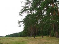 Малі Мошківці - Останні фото