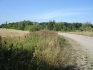 Дорога додому