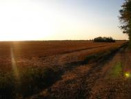 Малі Мошківці - Останні фото