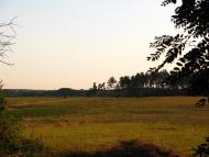 Малі Мошківці - Останні фото