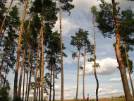 Малі Мошківці - Останні фото