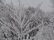 Наша местность