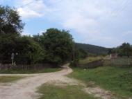 Родное село