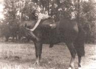 Жителі Малої Деребчинки