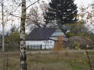 Дорога додому