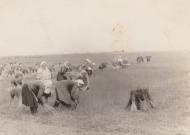 Історія мого села