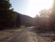 Родное село