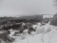 Наша местность