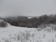 Наша местность