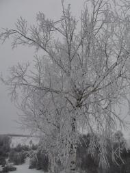 Наша местность