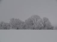 Наша местность