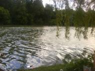 Парк села Деребчин