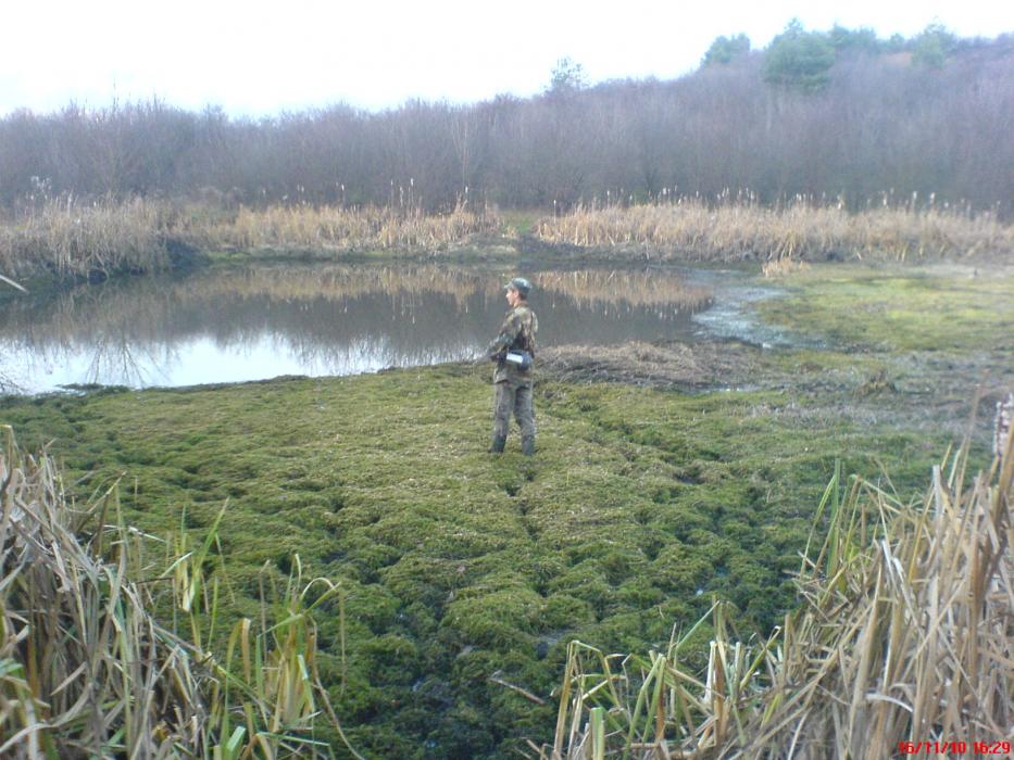 Боратичі - Боратичі