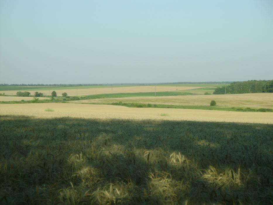 Єрчики - Yerchyky
