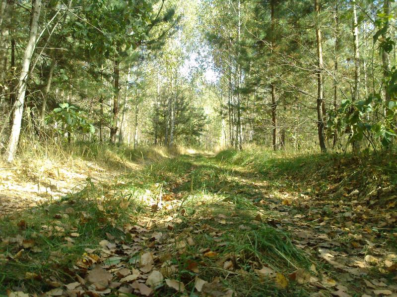 Мальовничі куточки с.Хижки - Хижки