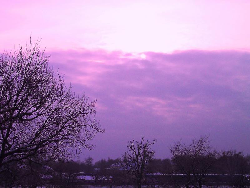 Графіка - Мукачеве