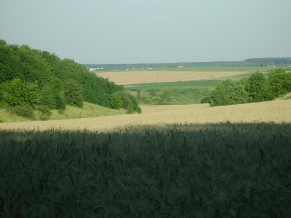 Єрчики - Yerchyky
