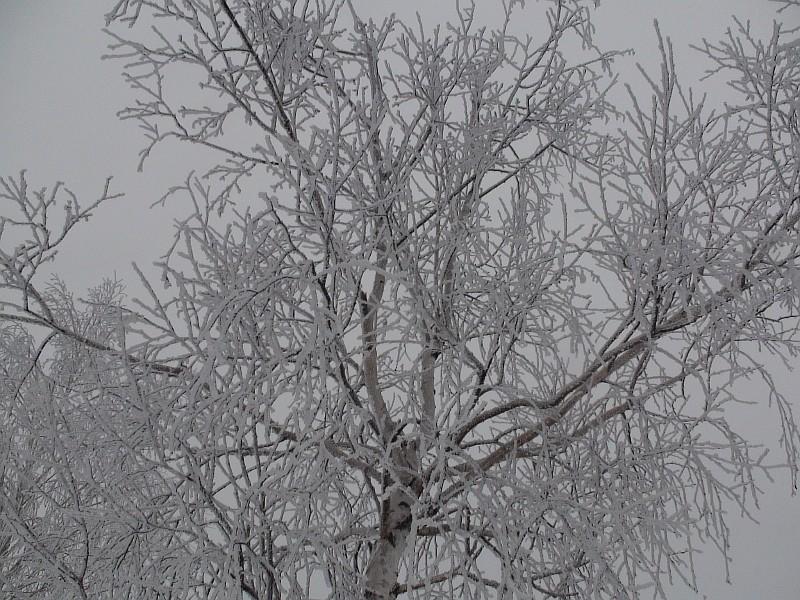 Наша местность - Клепали