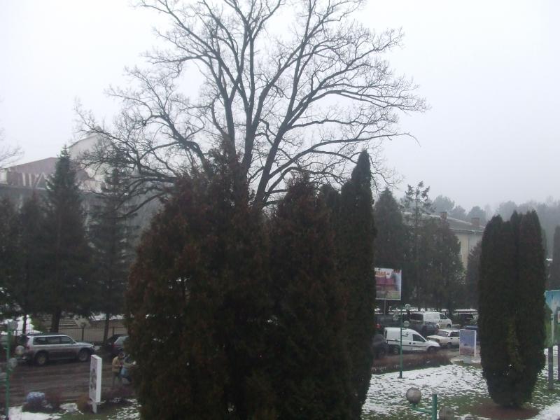 краєвид - Моршин