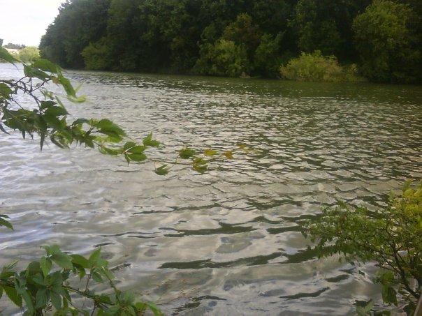 Парк села Деребчин - Деребчин