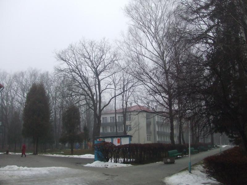 краєвид - Моршин
