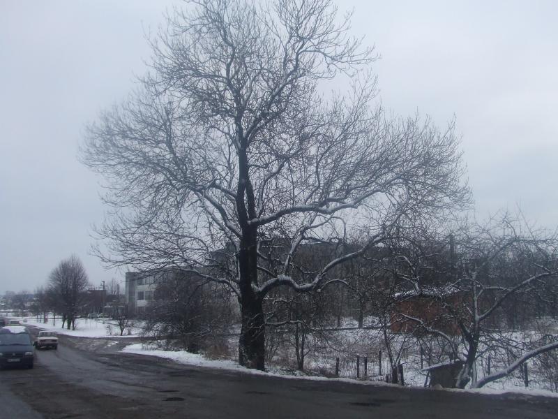 краєвид - Слобідка