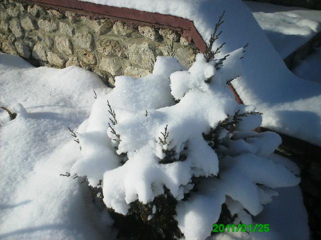 Село - Горынка