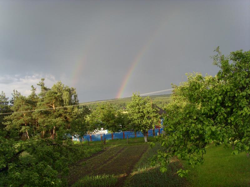 Лето - Тхорин