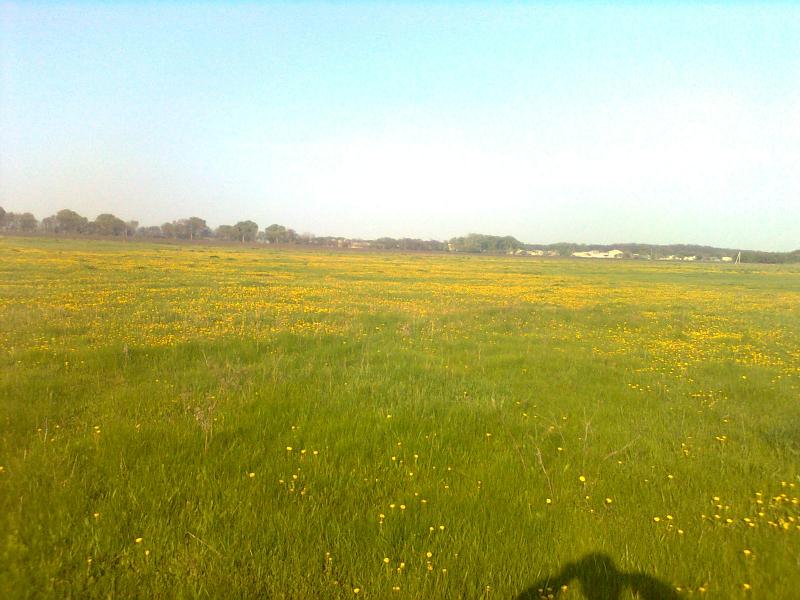 Село - Івано-Яризівка