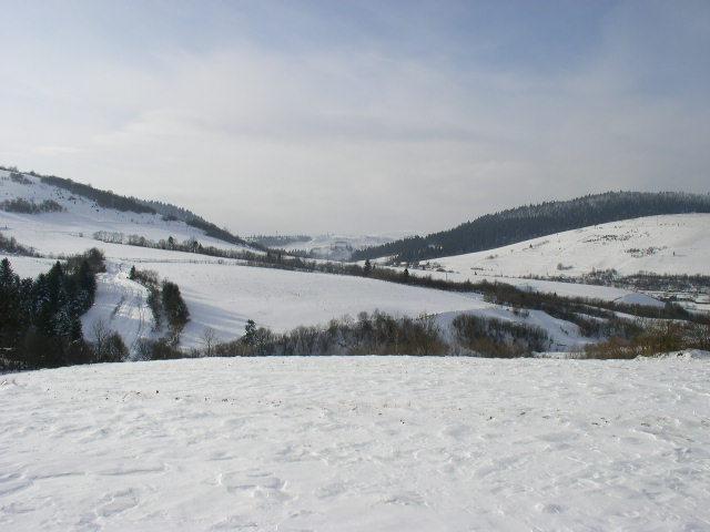 ЗИМА - Стодолка