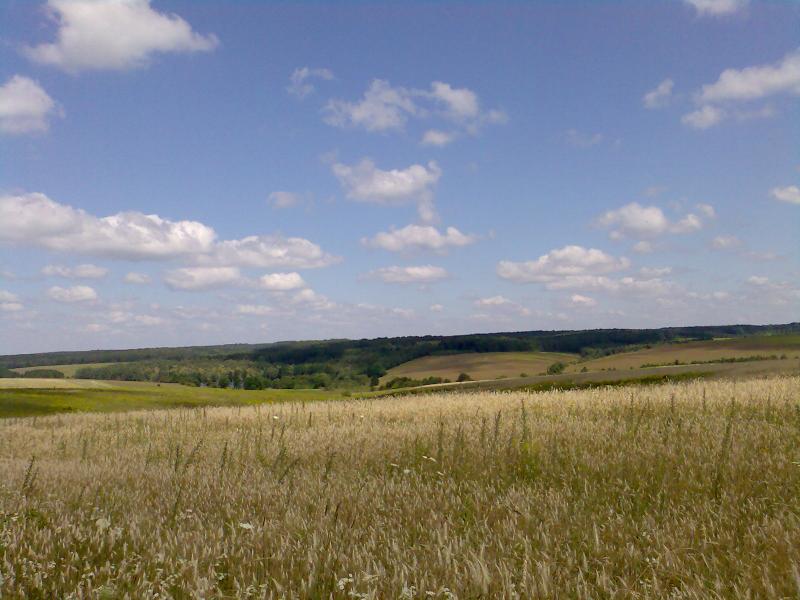 в полях - Івча