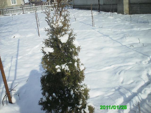 Село - Горынка