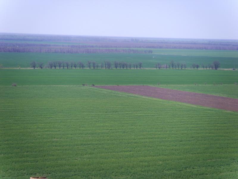 КРЄВИДИ ПАНОРАМА СЕЛА - Золота Балка