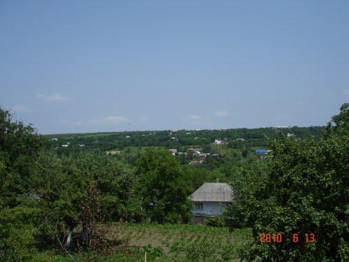 Rykwun - Rukshyn