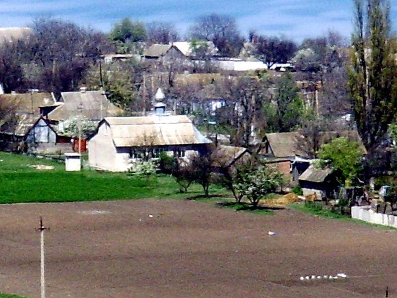 КРЄВИДИ ПАНОРАМА СЕЛА - Золота Балка