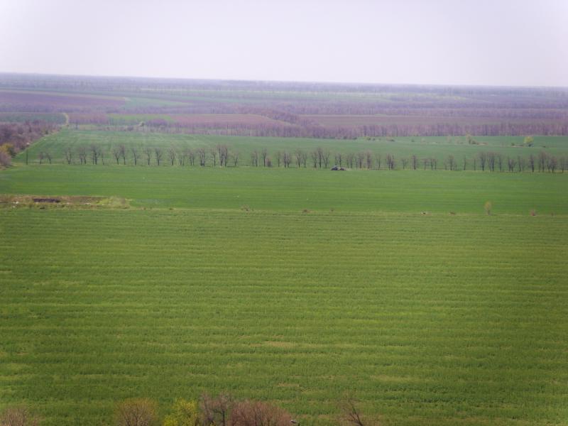КРЄВИДИ ПАНОРАМА СЕЛА - Золота Балка