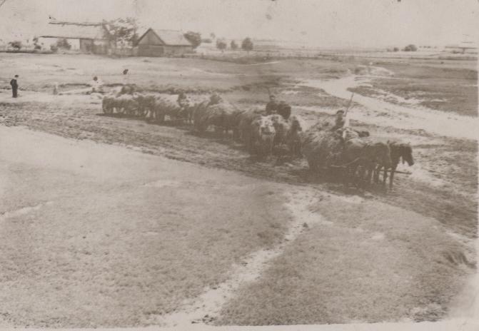 Історія мого села - Немовичі