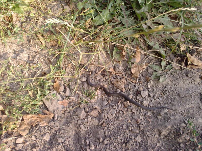 Мальовничі куточки с.Хижки - Хижки