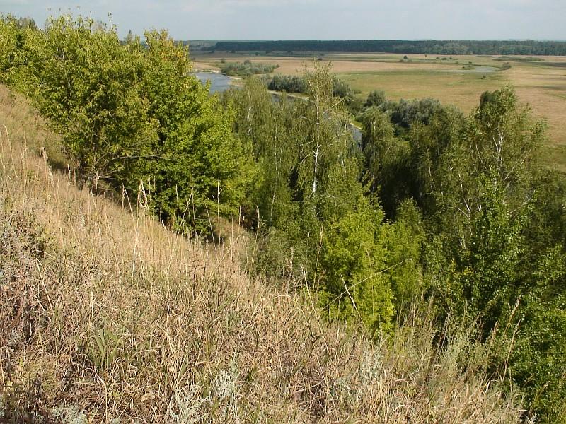 Наша местность - Клепалы