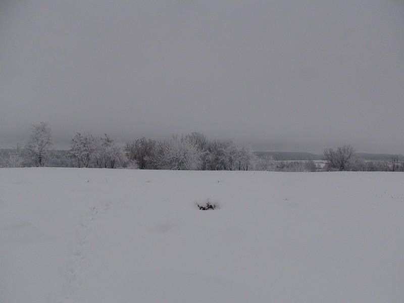 Наша местность - Клепали