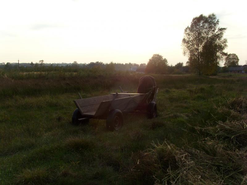 Осень - Тхорин