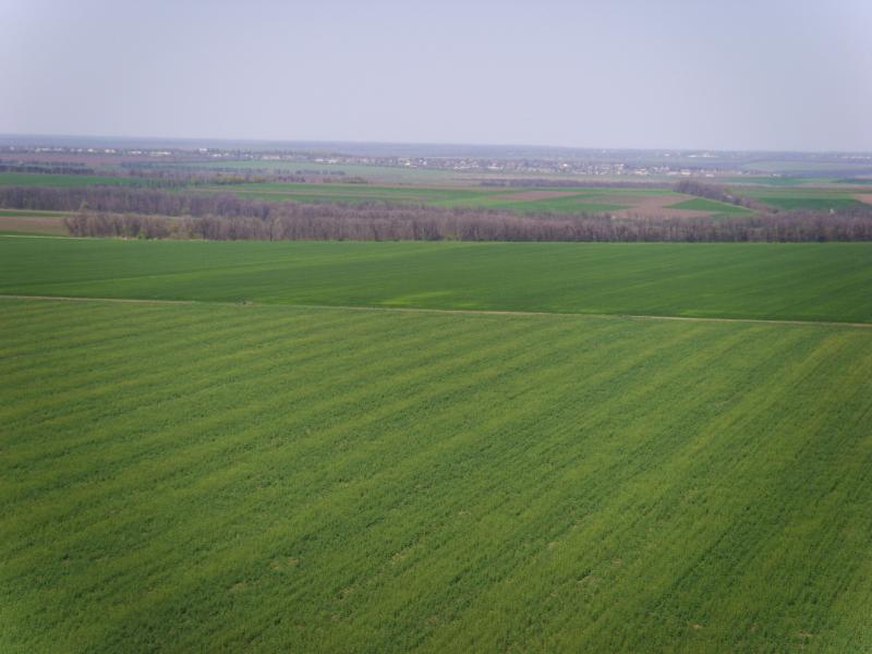 КРЄВИДИ ПАНОРАМА СЕЛА - Золота Балка