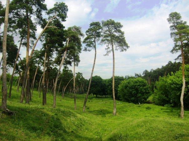 Жовтневе - Жовтневое
