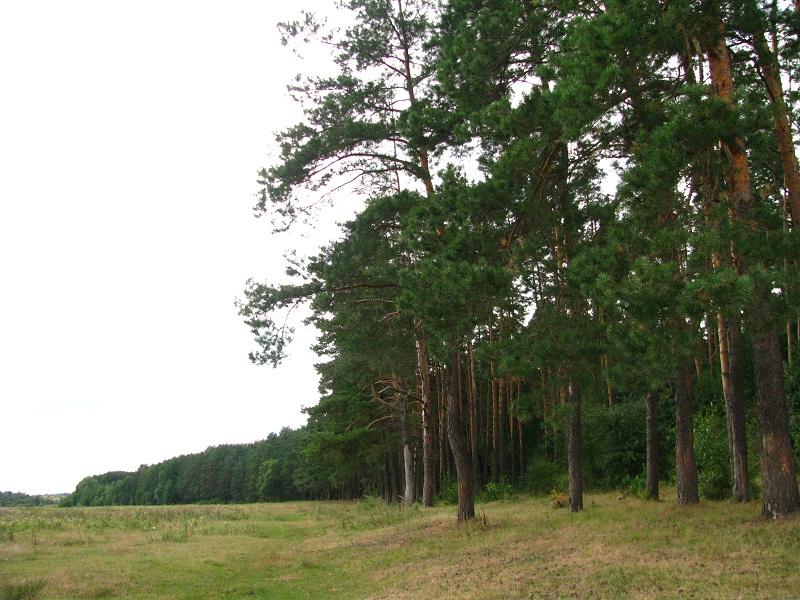 Малі Мошківці - Малі Мошківці