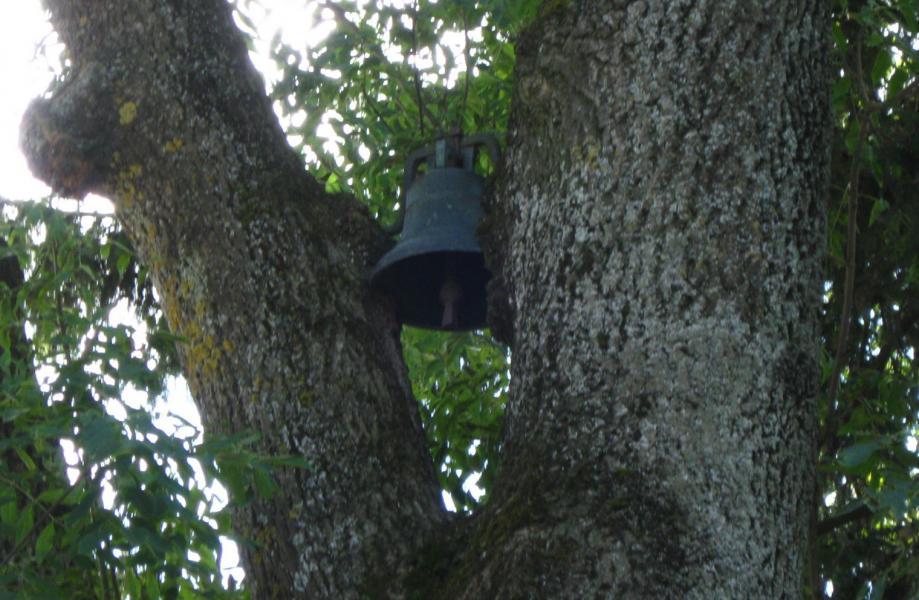 С.Діброва - Діброва